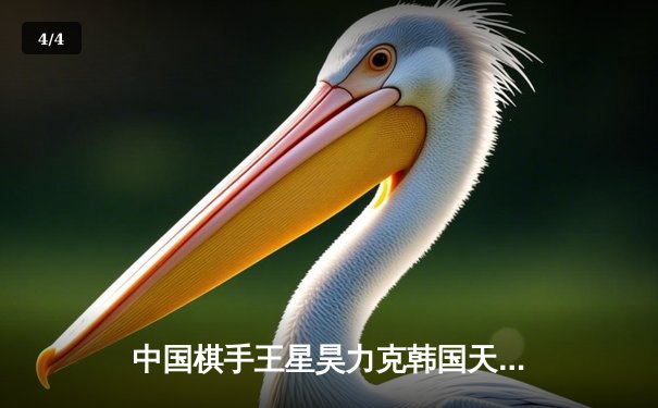 中国棋手王星昊力克韩国天才申真谞 问鼎世界围棋大师赛冠军 - 4