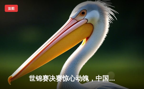 世锦赛决赛惊心动魄，中国新秀王楚钦逆转夺冠创历史